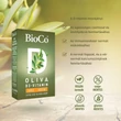 Kép 4/4 - BioCo Oliva D3 vitamin 4000NE Forte lágy kapszula (60x)