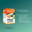 Kép 4/4 - BioCo Zöldkagyló PURE 500 mg kapszula (90x)