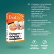 Kép 4/4 - BioCo Fokhagyma Galagonya Ginkgo tabletta (60x)