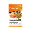 Kép 2/4 - BioCo Cordyceps 400 tabletta (90x)