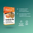 Kép 4/4 - BioCo Cordyceps 400 tabletta (90x)