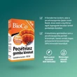 Kép 4/4 - BioCo Pecsétviasz gomba tabletta (60x)