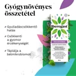 Kép 3/5 - Iberogast Hexaherba belsőleges oldatos cseppek (100ml)