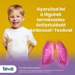 Kép 2/4 - Ambroxol-Teva 3 mg/ml szirup + szájfecskendő (100ml)