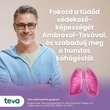 Kép 2/4 - Ambroxol-TEVA 30 mg tabletta (15x)