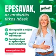 Kép 4/4 - Gallmet-N kapszula (60x)