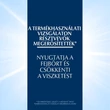 Kép 4/6 - Eucerin DermoCapillaire 5% Urea sampon (250ml)