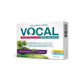 Vocal szopogató tabletta Feketeribizli (24x)